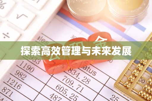 吉利探索高效管理与未来发展