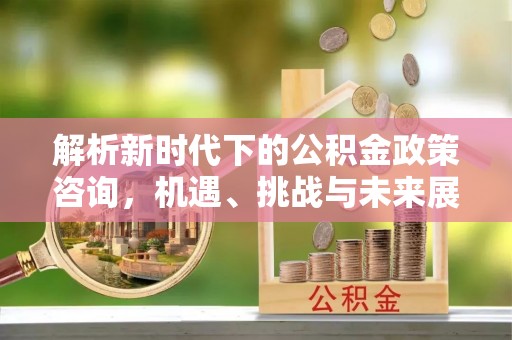 吉利解析新时代下的公积金政策咨询，机遇、挑战与未来展望