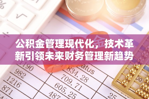 吉利公积金管理现代化，技术革新引领未来财务管理新趋势