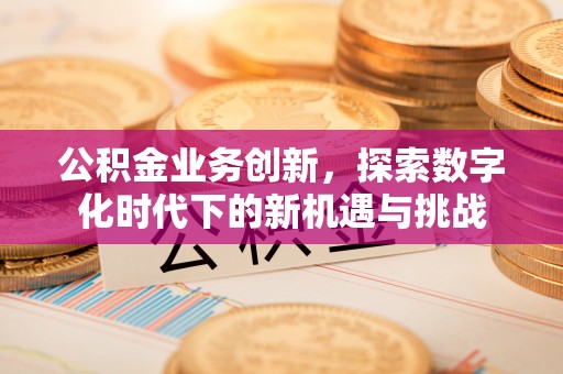 吉利公积金业务创新，探索数字化时代下的新机遇与挑战
