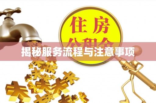 吉利揭秘服务流程与注意事项
