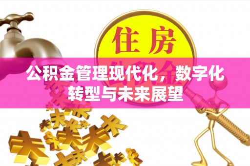 吉利公积金管理现代化，数字化转型与未来展望