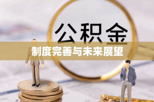 吉利制度完善与未来展望