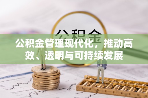 吉利公积金管理现代化，推动高效、透明与可持续发展