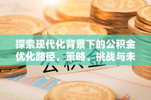吉利探索现代化背景下的公积金优化路径，策略、挑战与未来展望