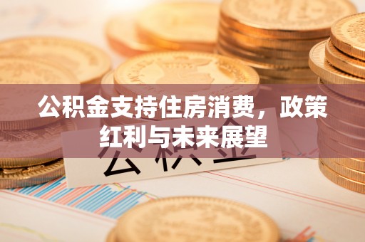 吉利公积金支持住房消费，政策红利与未来展望