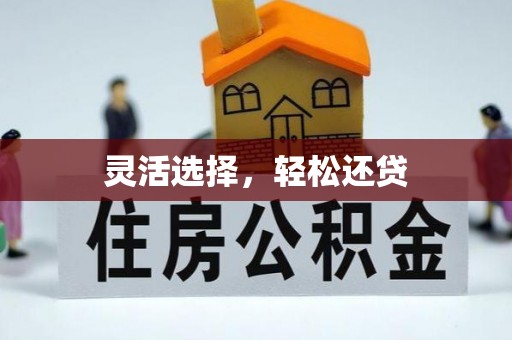 吉利灵活选择，轻松还贷