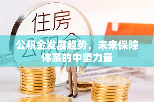 吉利公积金发展趋势，未来保障体系的中坚力量