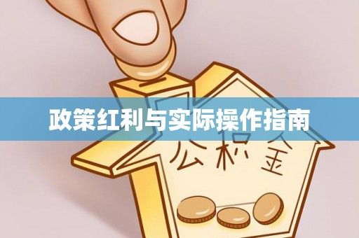 吉利政策红利与实际操作指南