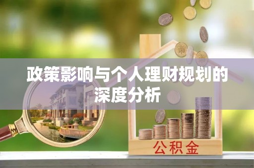 吉利政策影响与个人理财规划的深度分析