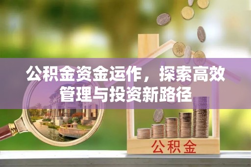吉利公积金资金运作，探索高效管理与投资新路径