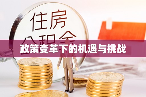 吉利政策变革下的机遇与挑战