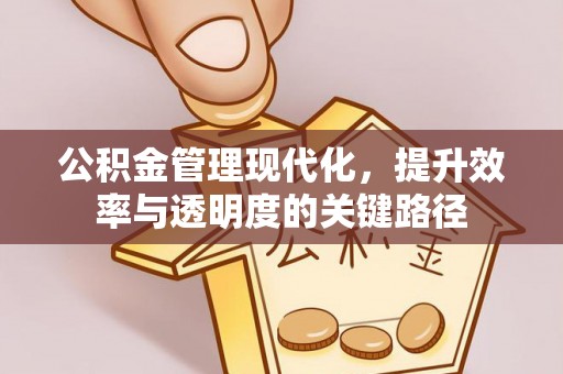 吉利公积金管理现代化，提升效率与透明度的关键路径