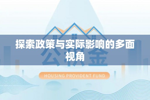 吉利探索政策与实际影响的多面视角