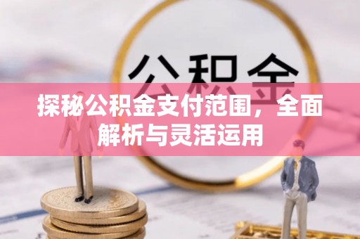 吉利探秘公积金支付范围，全面解析与灵活运用