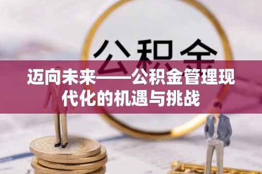 吉利迈向未来——公积金管理现代化的机遇与挑战