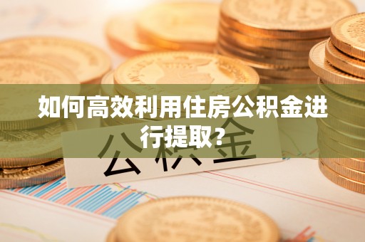 吉利如何高效利用住房公积金进行提取？