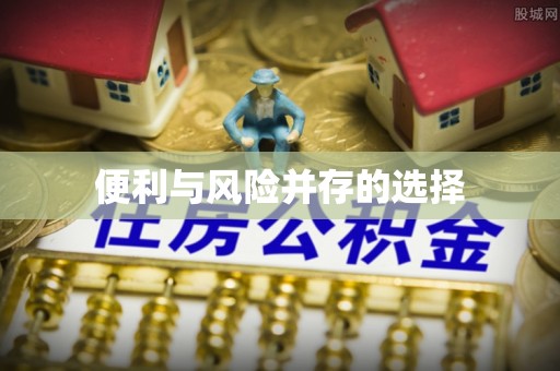 吉利便利与风险并存的选择
