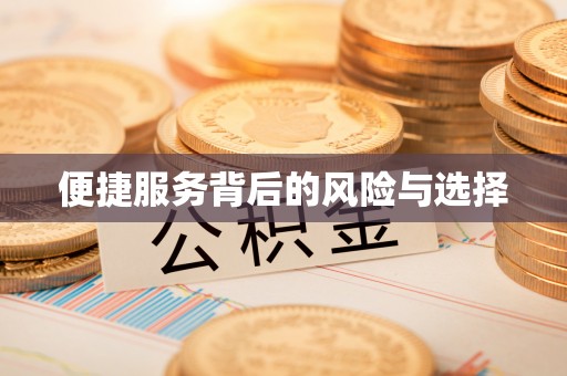 吉利便捷服务背后的风险与选择