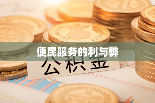 吉利便民服务的利与弊